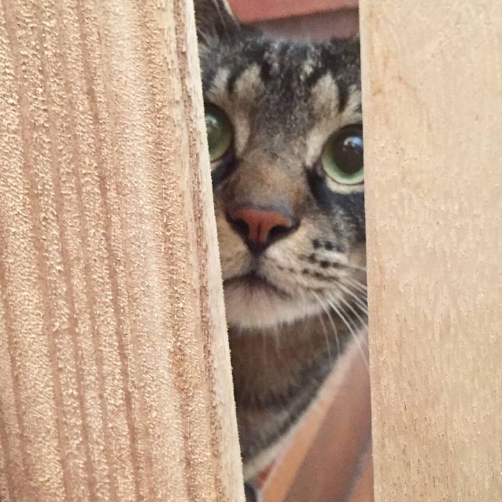 3c284d20 aef1 4a30 9c81 d47d7e2dc5dc