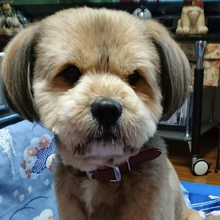 3c28aefc ee14 4001 8edf 2779b2c32652