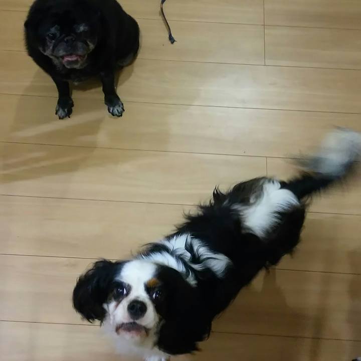 3c295575 d6bc 4f57 ad85 70d5ad85cc51