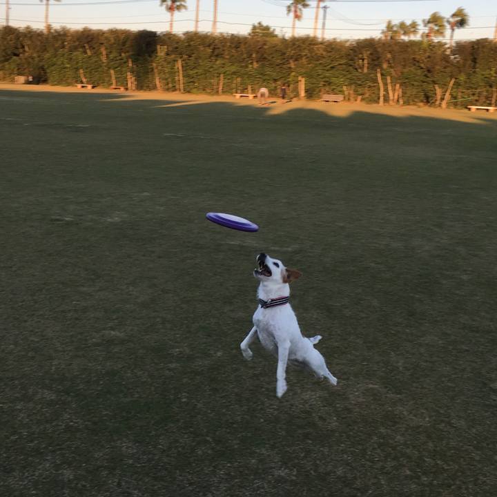 3c296fef ab2b 4b35 9b3e 17a0075ef16f