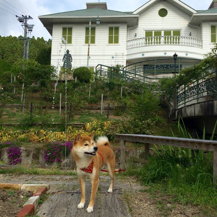 3c29d975 dfe3 4300 918f 678c8fce1b38