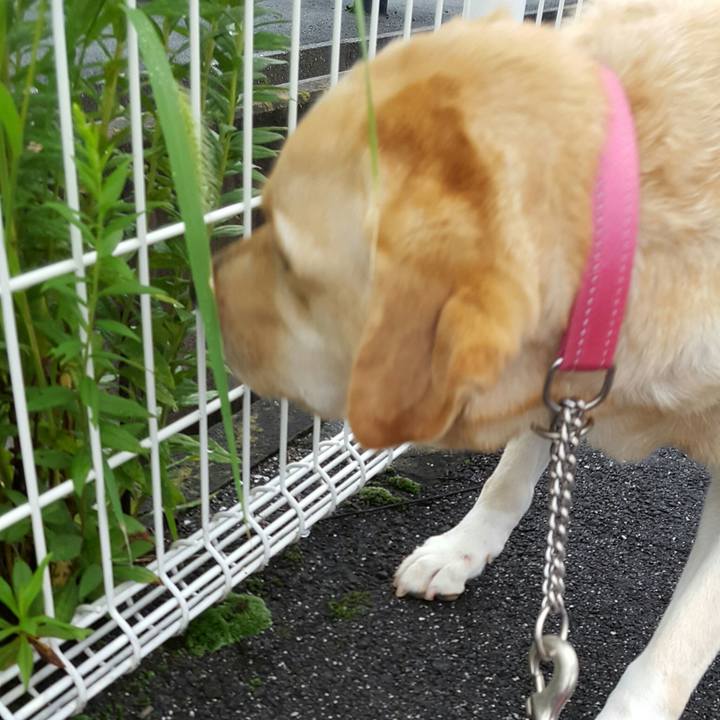 3c2a3e7c 2d2a 480f 8544 e0e8a25e97c3