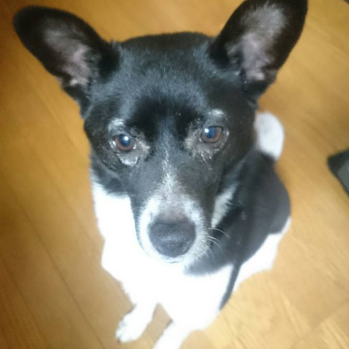 3c2a75e0 9956 4895 9d6a e6d6d235b6e6