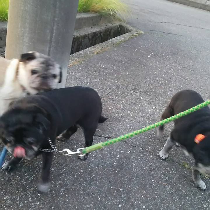 3c2a9b8f 0a80 4cb5 95ab ddb06563ef12