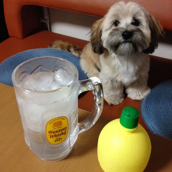 3c2b5dca 74ec 4c37 9d43 f6590e466ea7