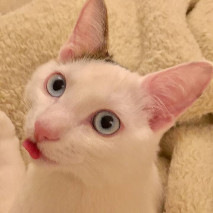 3c2bed6d 62ab 4347 9d5d 0fc1ebf4b2fd