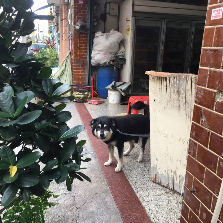 3c2bf53d d3ad 448f 8f21 d4b5a15d39c9