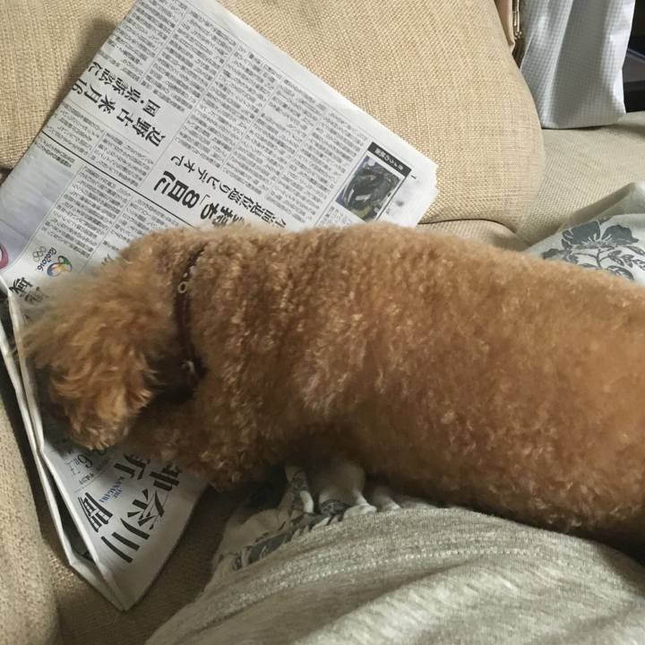 3c2c5fa1 4707 4225 a652 d523365ad3a9