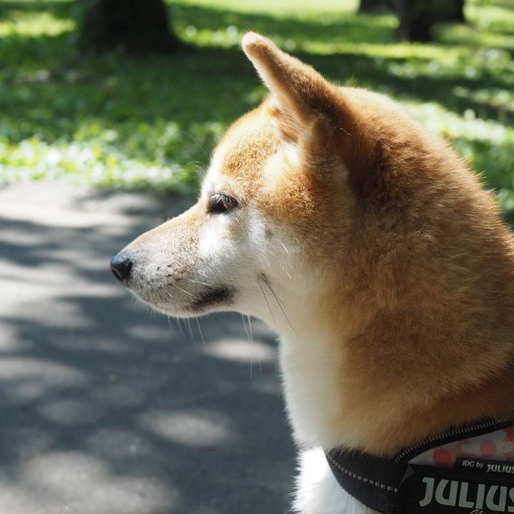 3c2cbd05 6f8f 4f2e 9e4c b7f8a7b57ca8