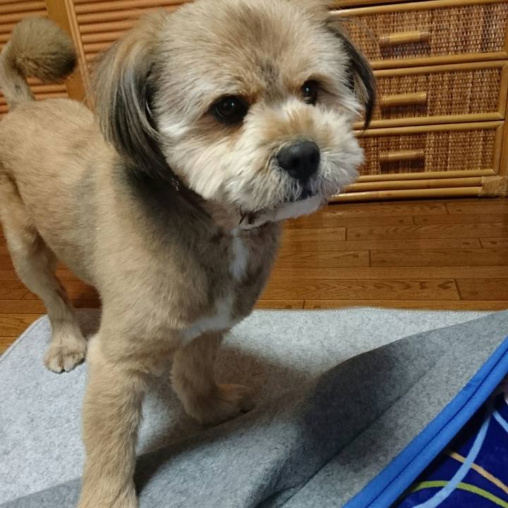 3c2cc3c1 f48d 4706 9dae 1cf68f82fd7a