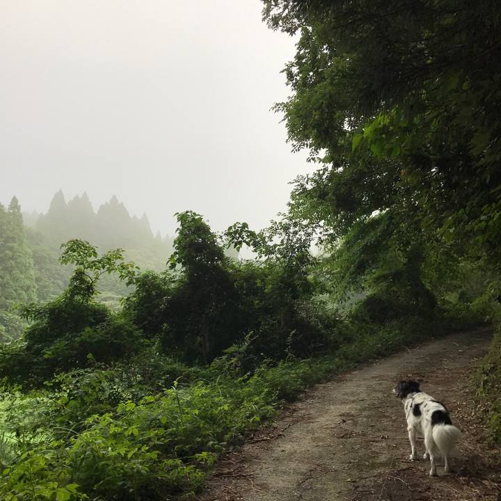 3c2cce54 a21e 49e3 a024 f844f3e5f640