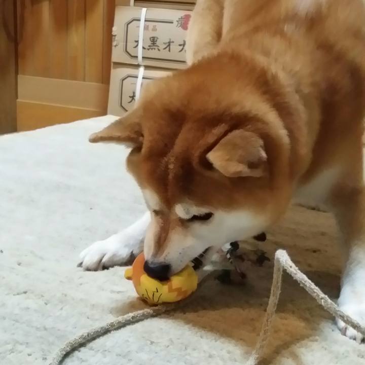 3c2d0324 0b74 4f8b 9085 fb72ec67a318