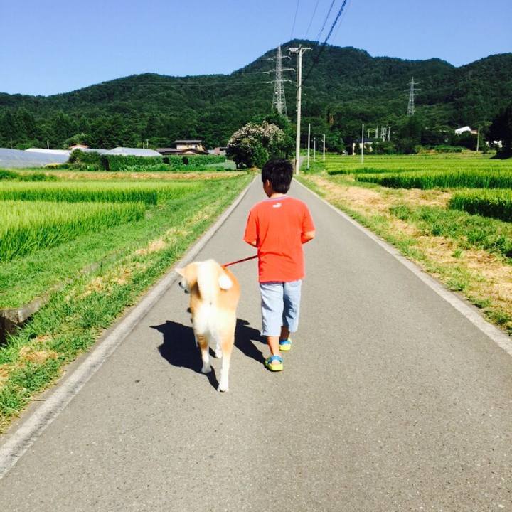 3c2d32b3 e420 46e2 ab81 bc5194f30de2