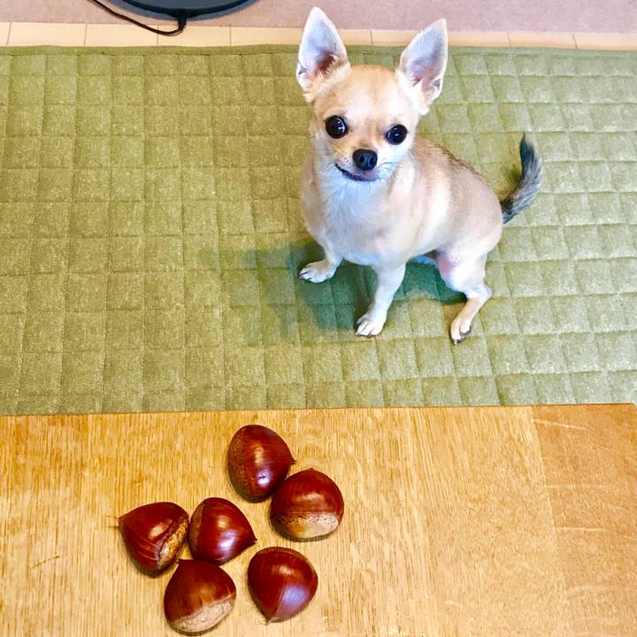 3c2d402f 8d16 4735 ab7d 2bc55f31e582