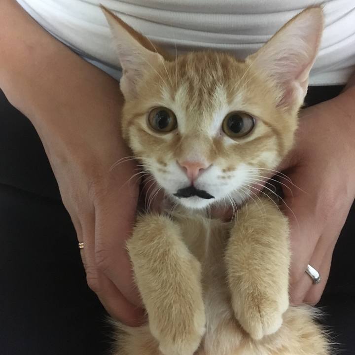 3c2d83a2 c0d9 4722 a50a a33038bd7c4b