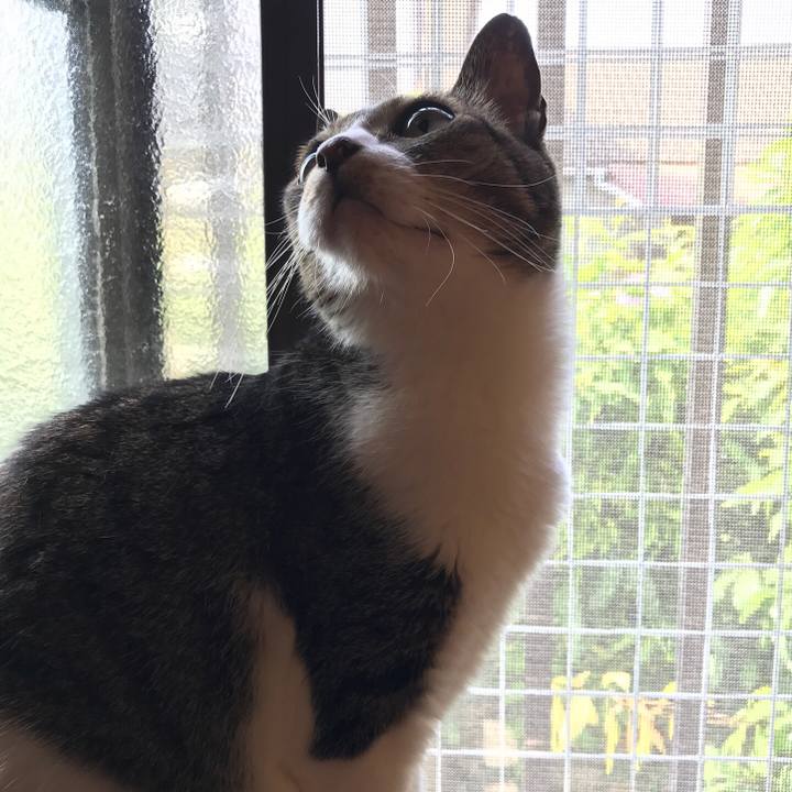 3c2e58b5 f40e 4d33 8eca f420f9fced55