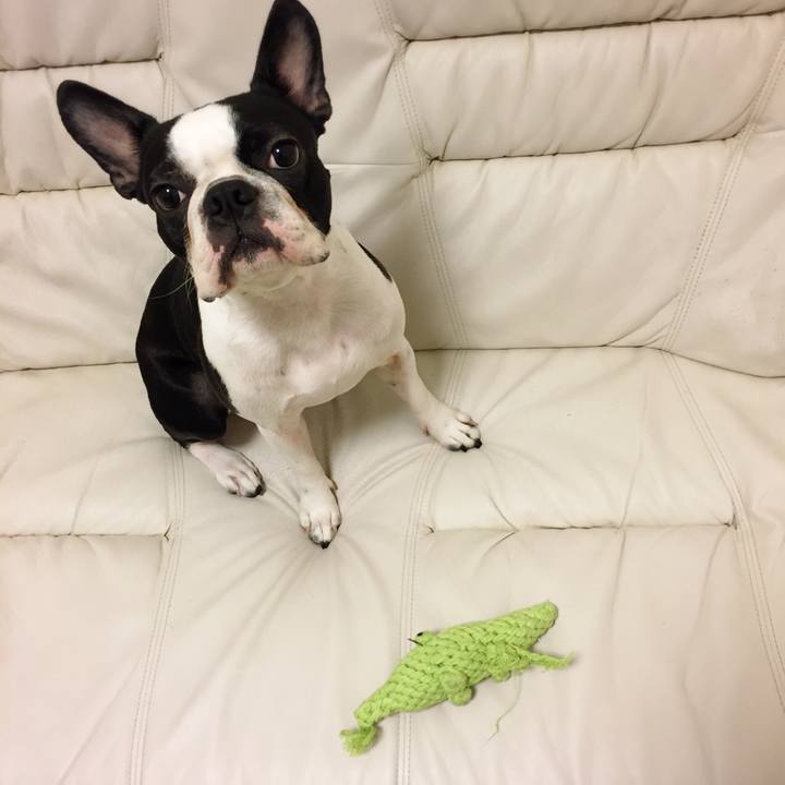 3c2e7183 8f3d 4901 961a 093ca8bdbe74