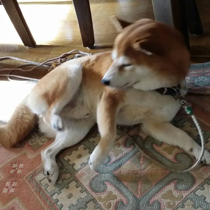 3c2e861f 37a7 4754 98aa 05846d4ad377