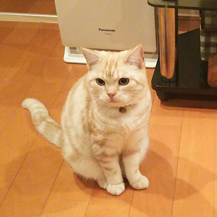 3c2ea76c a94c 43d5 a755 1e3d55d4595d