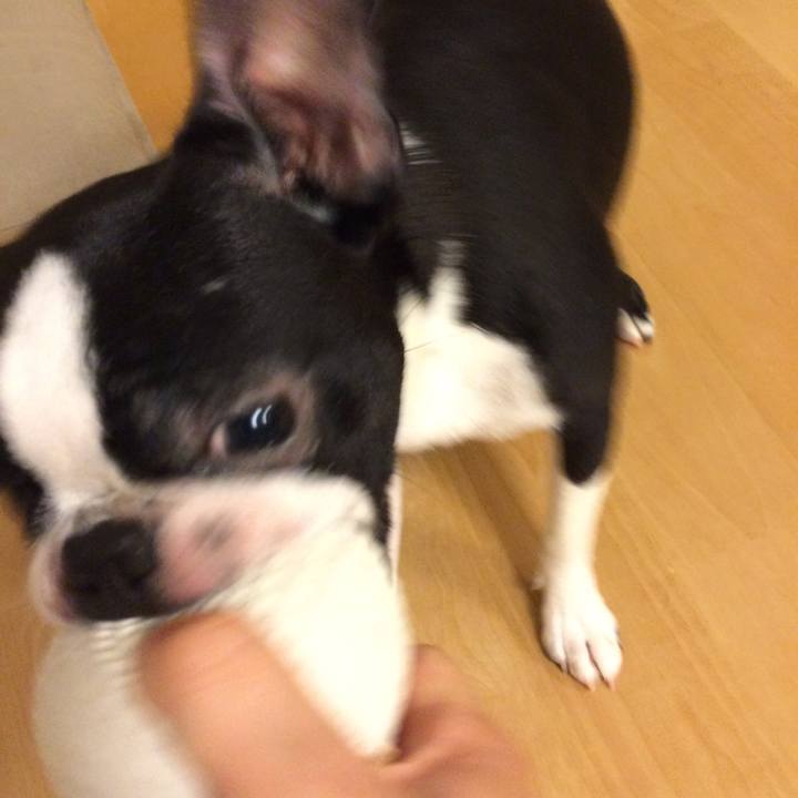 3c2ec6bf d200 4e0f 9986 52f2141a8e91