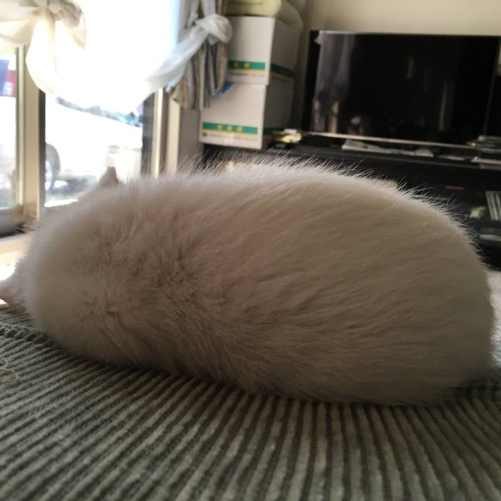 3c302421 7aaf 4d2d 80ed 45356f1025b6