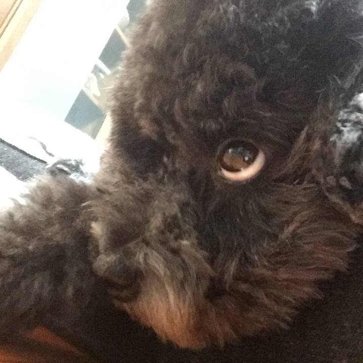 3c30847a 0e4f 4075 a412 0e5fa8afd20a