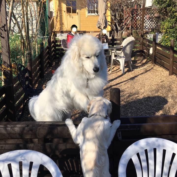 3c30cb14 77cf 4bbe 8bf7 58d55160bca7