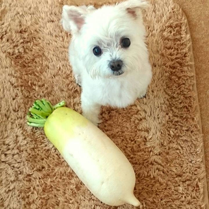 3c3183c0 a26a 4e2e 8b58 75ca8f75987b