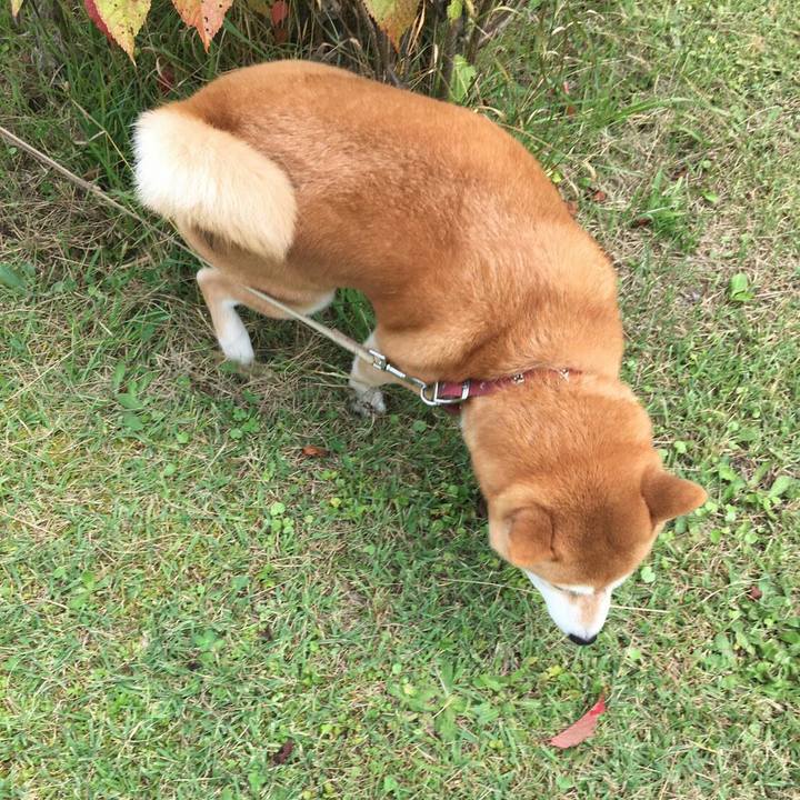 3c319830 c833 4ead 8a13 2592bde14c9d