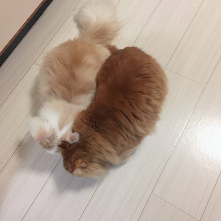 3c31d896 d7f8 44a3 977f ef76fb7d163d