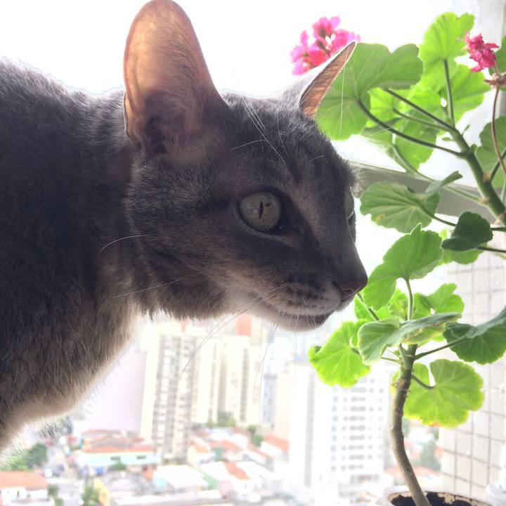 3c31fd92 073a 4f21 ba48 f71828a5caee