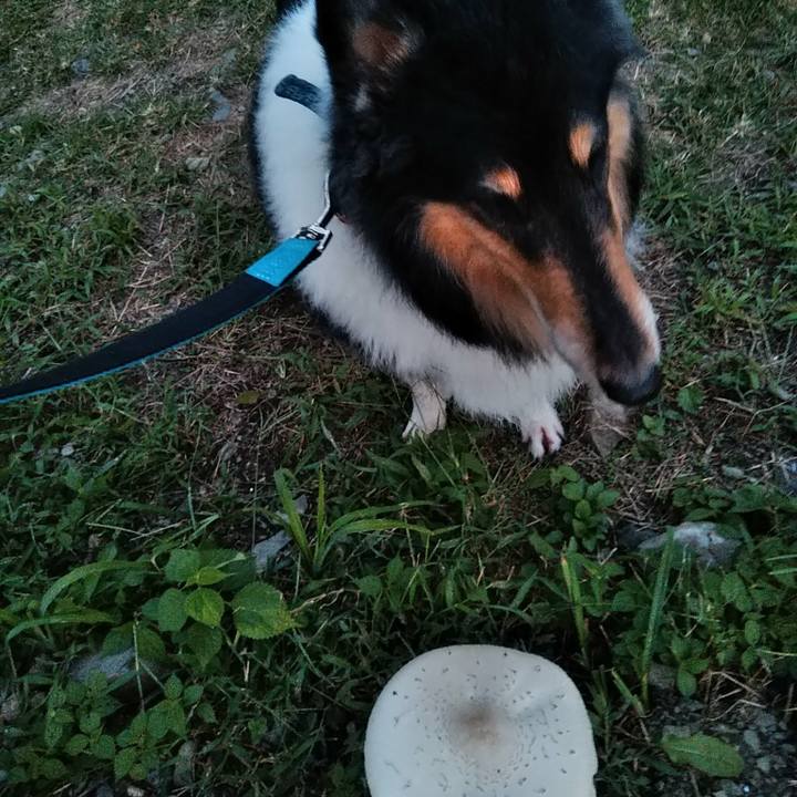 3c329930 ff80 4f6b b415 649f6cefe865