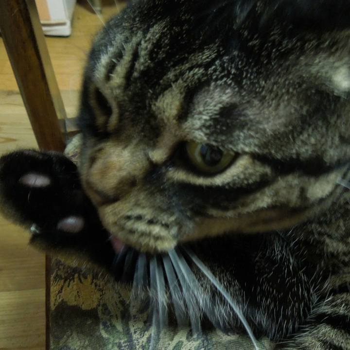 3c330594 6465 4062 96ae 79c836a3b9ff