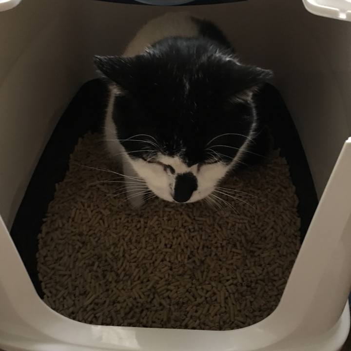 3c3363e2 0f44 44a1 bb43 8f922ccc9eb4