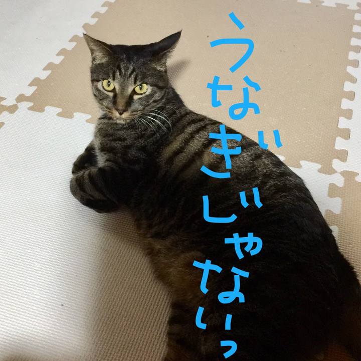 3c33a740 f09e 4426 8f0d 618e3c52411f