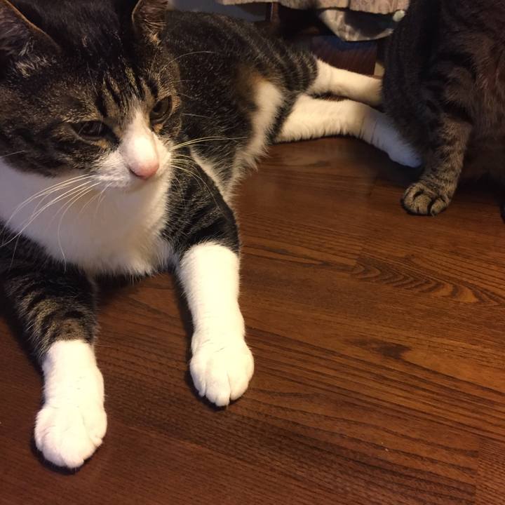 3c344358 fe5e 4d85 9138 b24c997f6b42