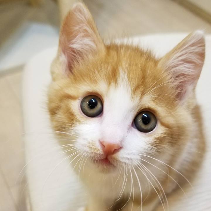 3c34bdd1 fd21 495a 88bb 1bf4272e530e