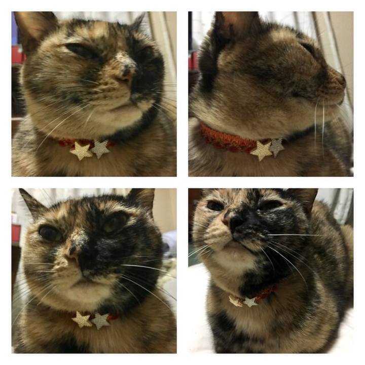 3c34d393 e0b6 47e6 89c8 090088b13971