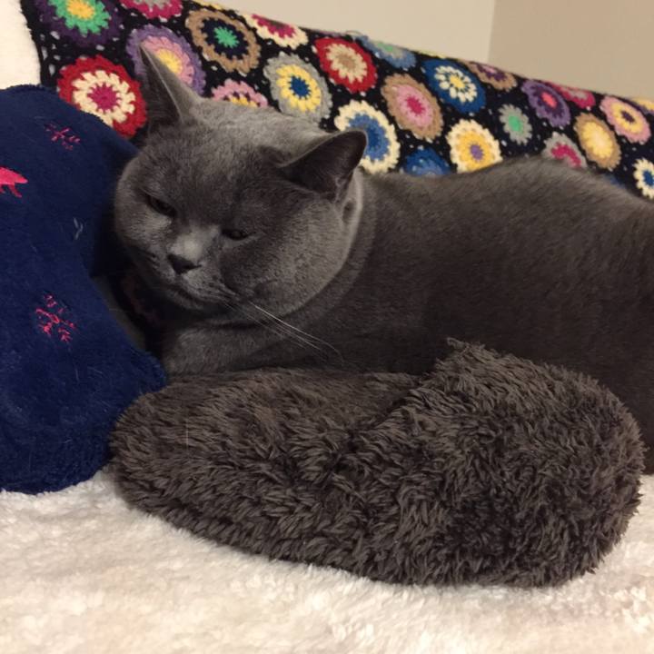 3c35707f 2f87 4af9 9fd4 b4e737a2915a