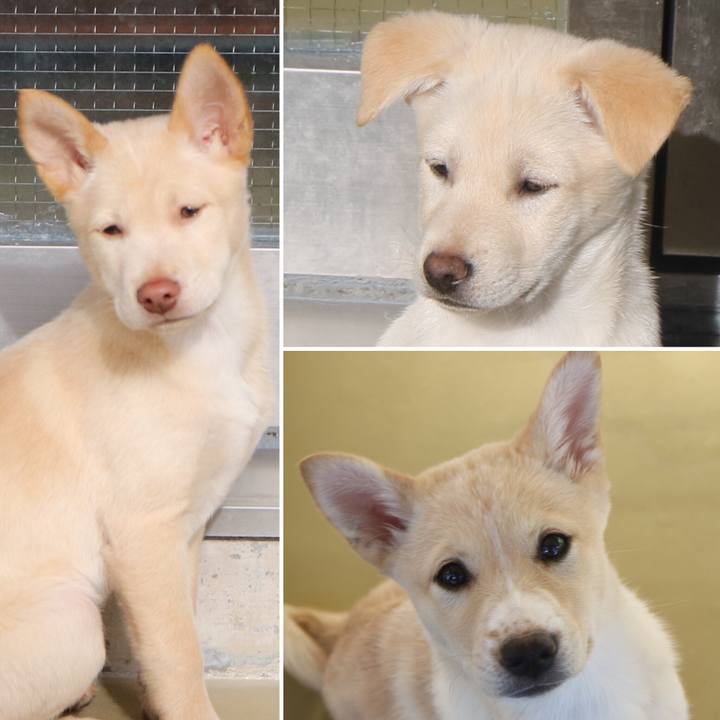 3c3588fe 5034 477f 857d 2af9bbd7d3dc