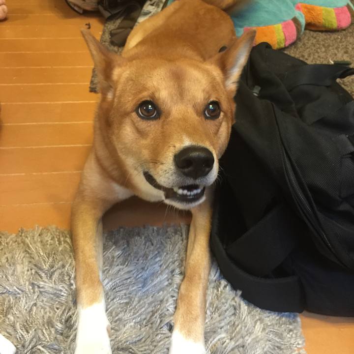 3c35af1a 64db 45d2 8e9b ed83123f96c1