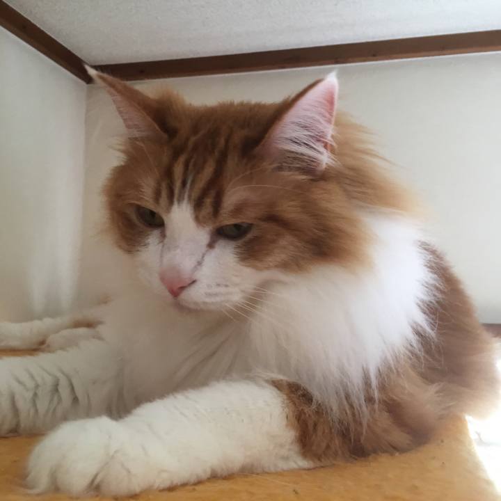 3c36e9fe 656d 422c a55f 7fd7ab5fc491