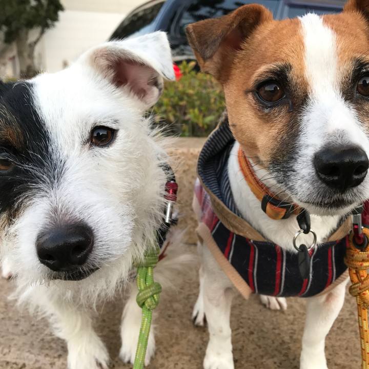 3c370099 d5ef 4612 a9fc 048eb7222932