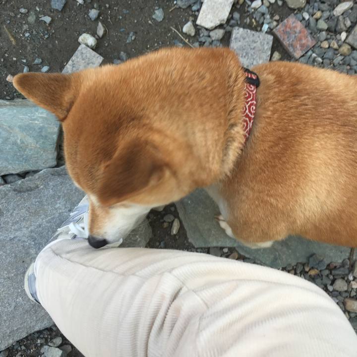 3c37100f ee39 4571 ab99 731be37bd205