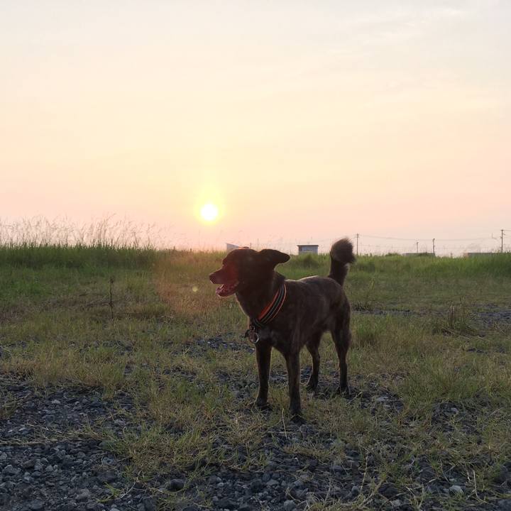 3c378459 c3dd 414a ac31 9ac752761a55