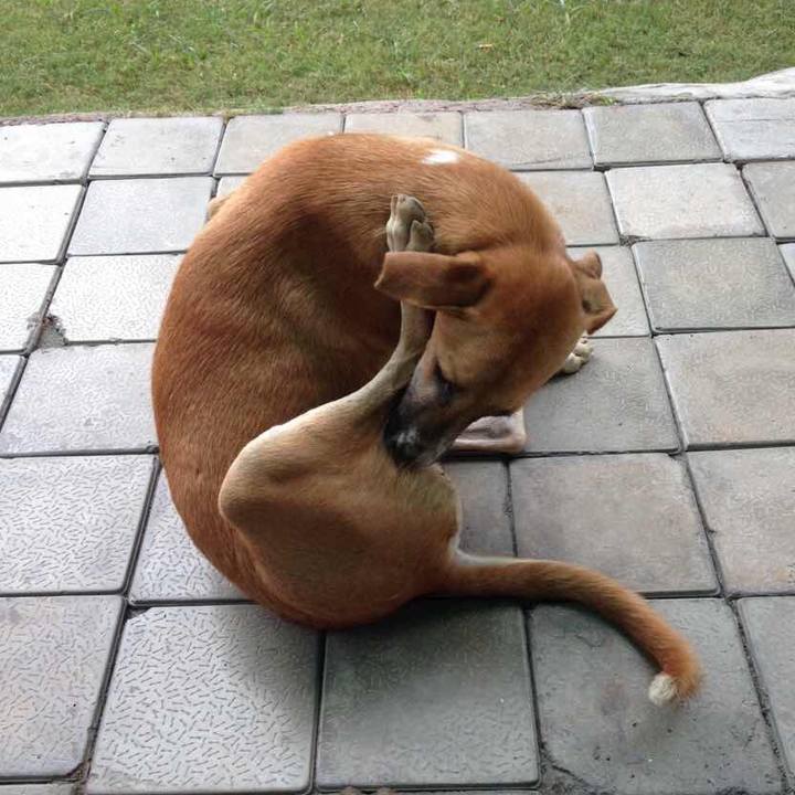 3c37a968 a22d 467b 99cd 7144b859a777