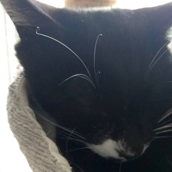 3c38e931 3bcf 4a0b a280 85fe971afca7