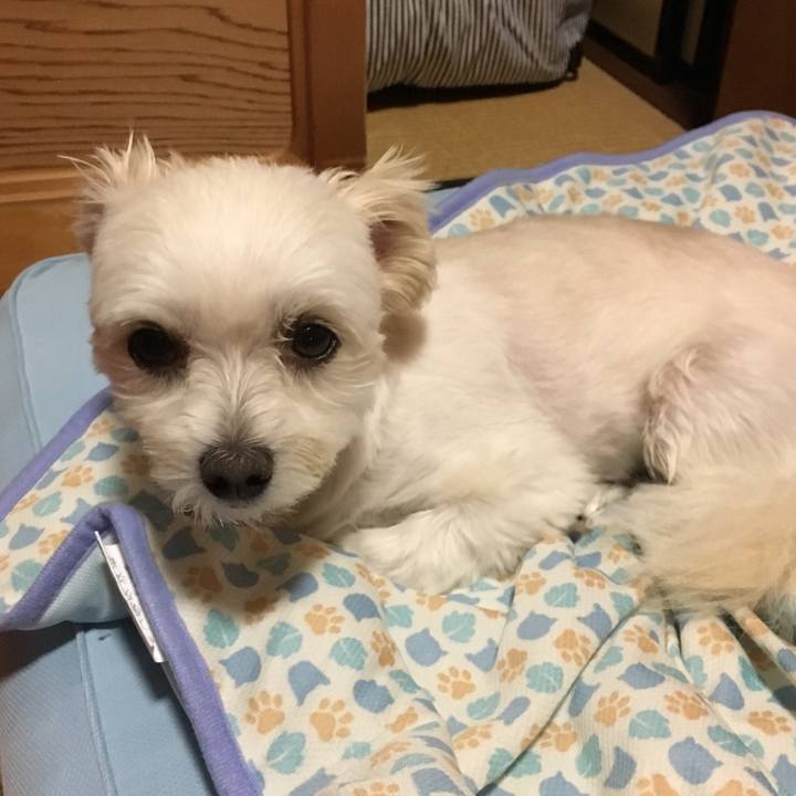 3c392dd6 21db 4457 8c56 b626bf2243cb