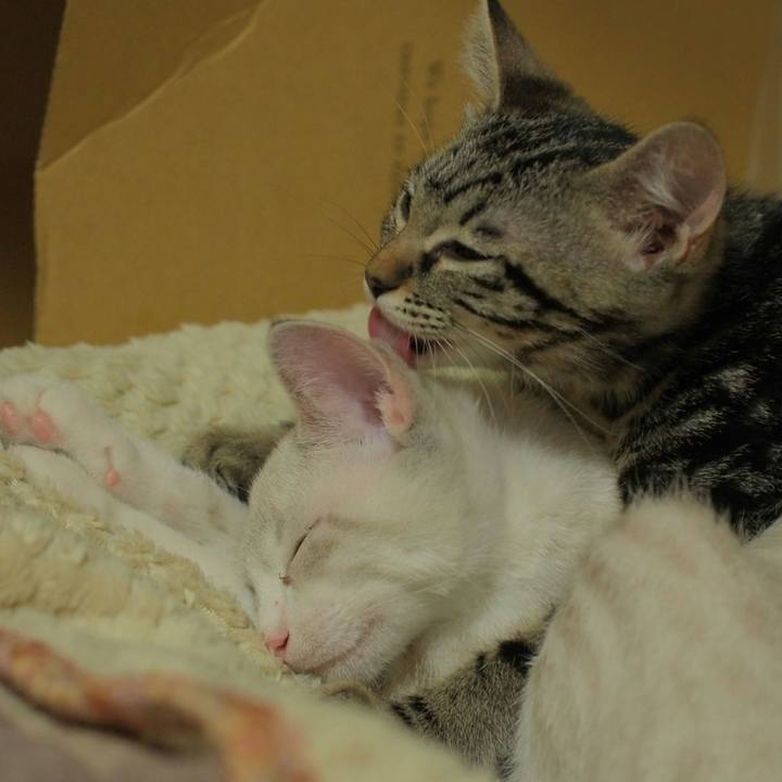 3c3997c6 85d6 4d94 a429 c0dce6ced545