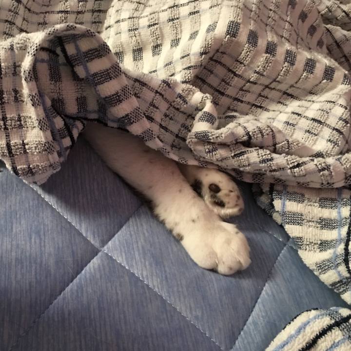 3c3998ae 9e9c 42f5 adbf 54fe9610f304